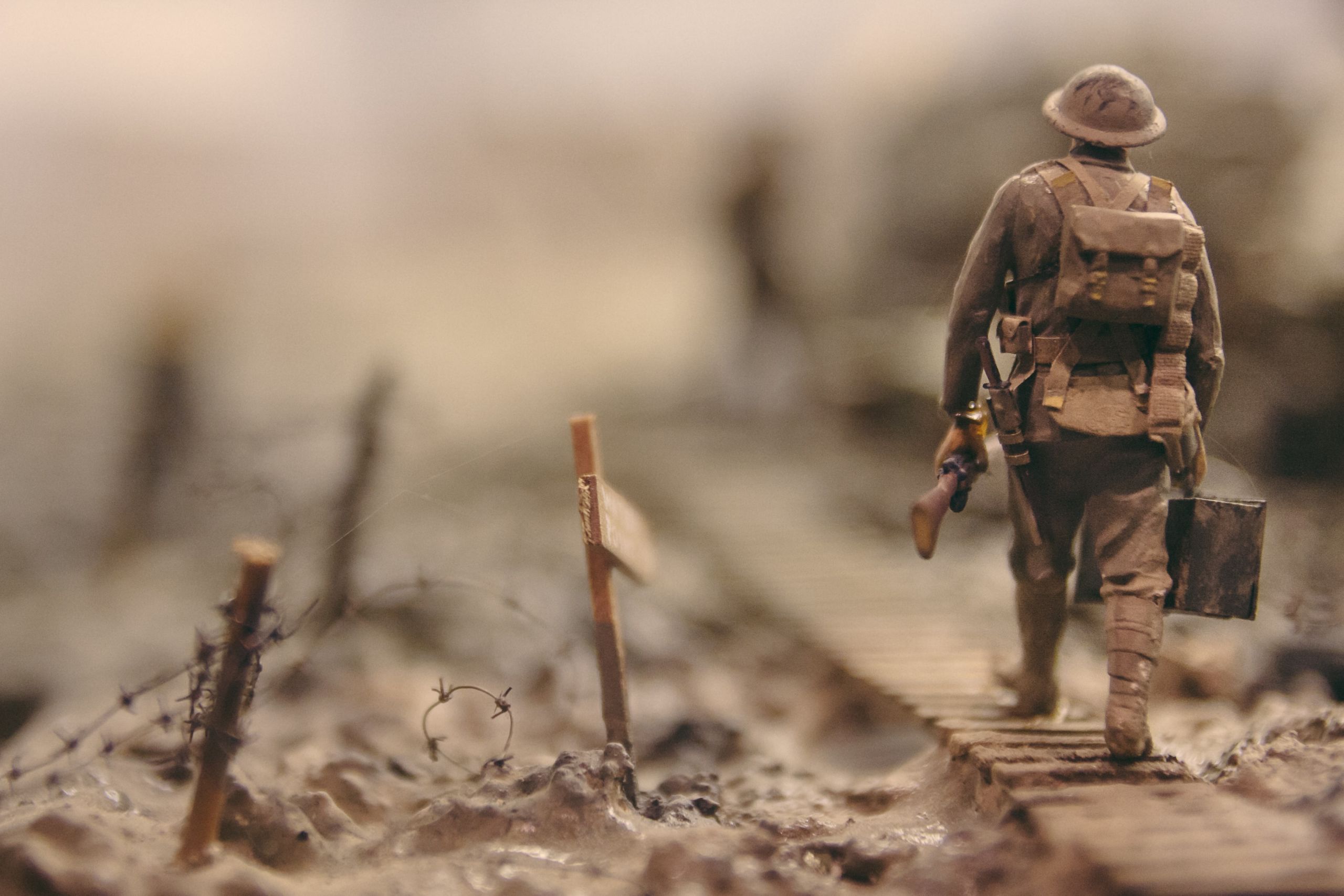 Photo by Stijn Swinnen - Unsplash