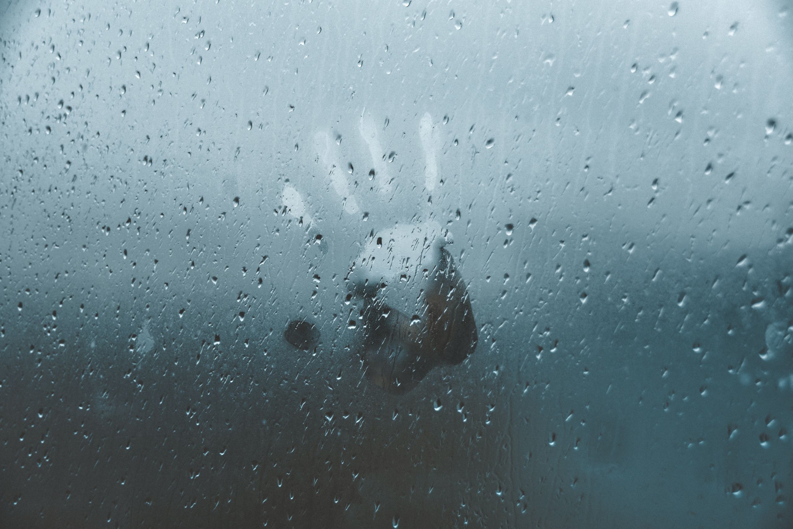 Photo by Alex Dukhanov - Unsplash